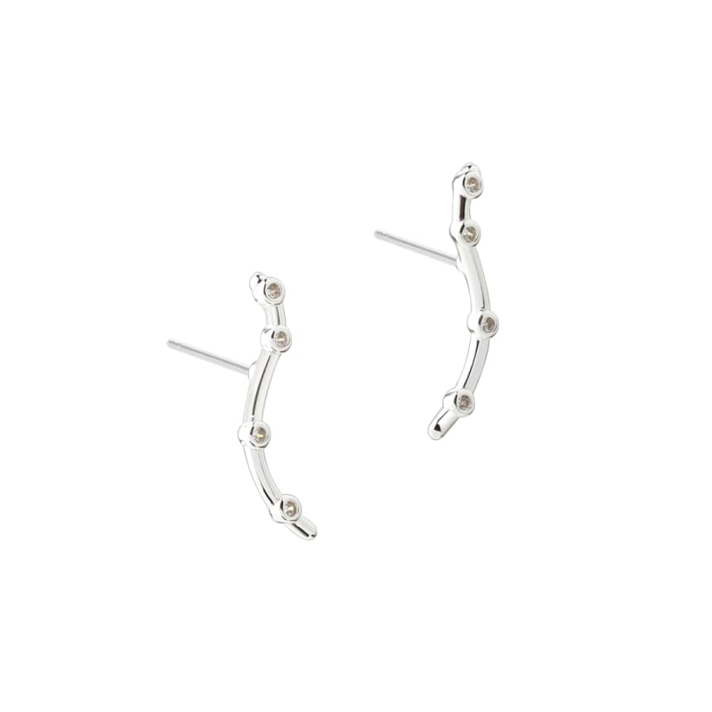 Bølgeformede Sølv Øreringe fra Aqua Dulce